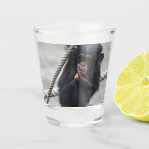 Schimpanse 030 schnapsglas