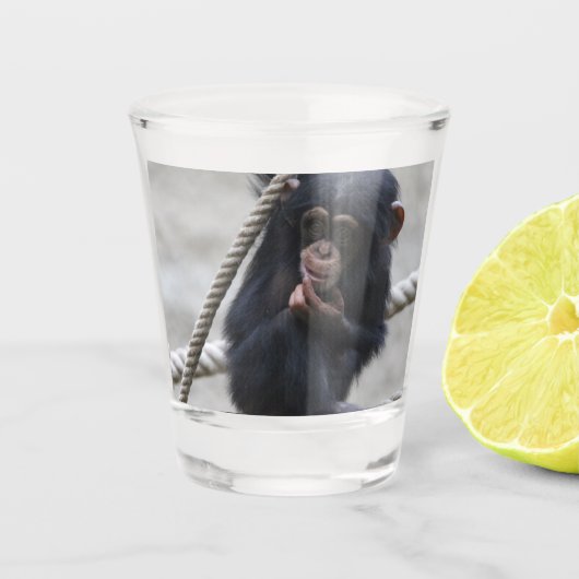 Schimpanse 030 schnapsglas (Vorderseite)