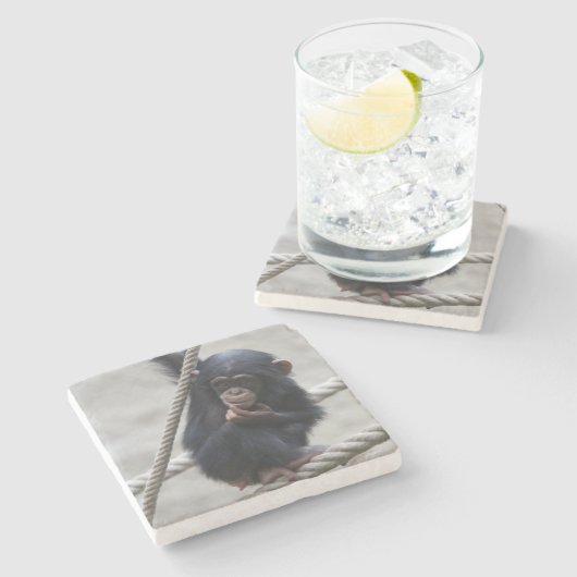 Schimpanse 030 steinuntersetzer (Seitenansicht)