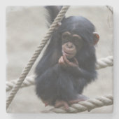 Schimpanse 030 steinuntersetzer (Vorderseite)