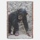 Schimpanse 031 decke (Vorderseite Vertikal)