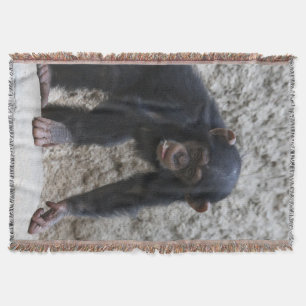 Schimpanse 031 decke