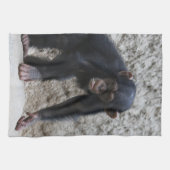 Schimpanse 031 geschirrtuch (Horizontal)