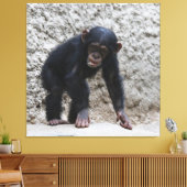 Schimpanse 031 leinwanddruck (Insitu (Wohnzimmer))