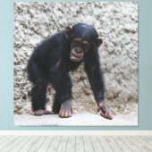 Schimpanse 031 leinwanddruck (Insitu (Holzboden))