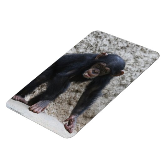 Schimpanse 031 magnet (Linke Seite)