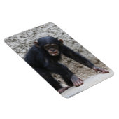 Schimpanse 031 magnet (Rechte Seite)