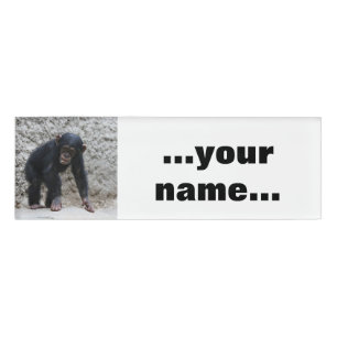 Schimpanse 031 namenschild