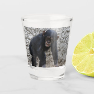 Schimpanse 031 schnapsglas