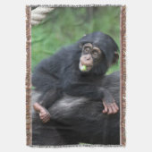 Schimpanse 032 decke (Vorderseite Vertikal)