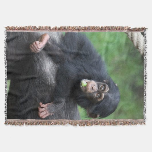 Schimpanse 032 decke (Vorderseite)