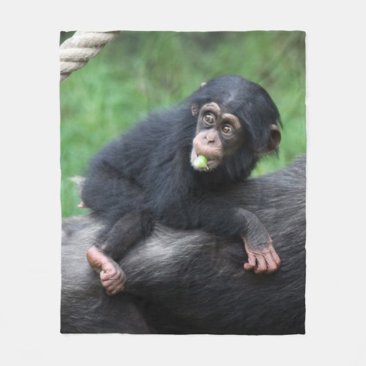 Schimpanse 032 fleecedecke (Vorderseite)