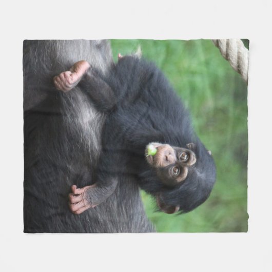 Schimpanse 032 fleecedecke (Vorderseite (Horizontal))