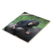 Schimpanse 032 fliese (Seite)