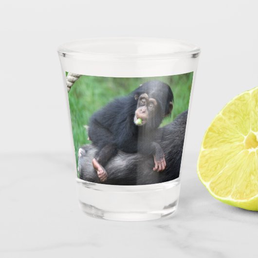 Schimpanse 032 schnapsglas (Vorderseite)