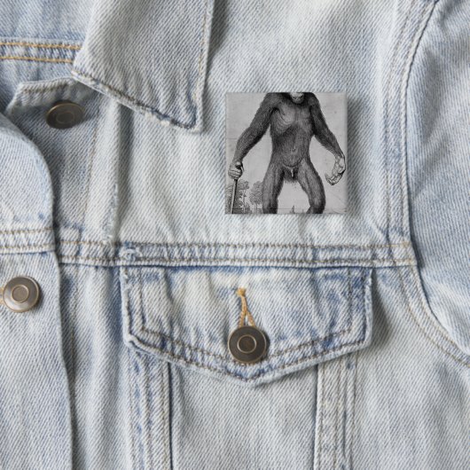 Schimpanse, 1699 button (Beispiel)