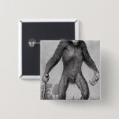 Schimpanse, 1699 button (Vorne & Hinten)