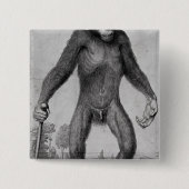 Schimpanse, 1699 button (Vorderseite)