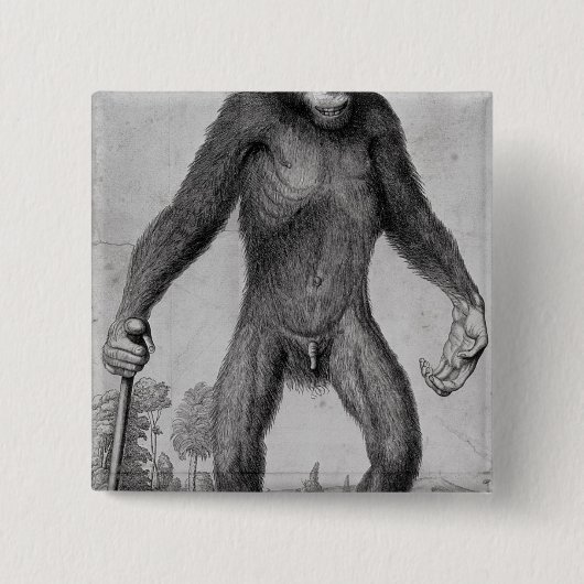 Schimpanse, 1699 button (Vorderseite)