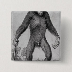 Schimpanse, 1699 button