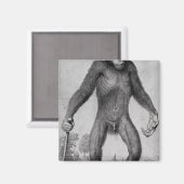 Schimpanse, 1699 magnet (Vorderseite/Rückseite)