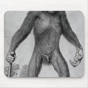 Schimpanse, 1699 mousepad