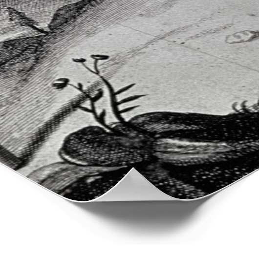 Schimpanse, 1699 poster (Ecke)