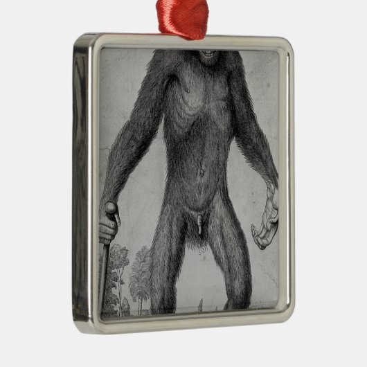 Schimpanse, 1699 silbernes ornament (Rechts)