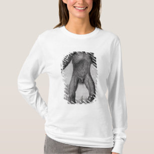 Schimpanse, 1699 T-Shirt