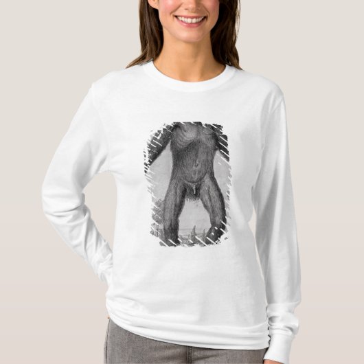 Schimpanse, 1699 T-Shirt (Vorderseite)