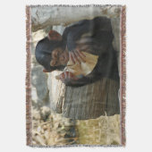 Schimpanse_2015_0101 Decke (Vorderseite Vertikal)