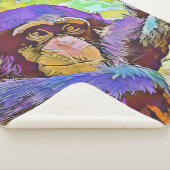 Schimpanse 3 sherpadecke (3/4)