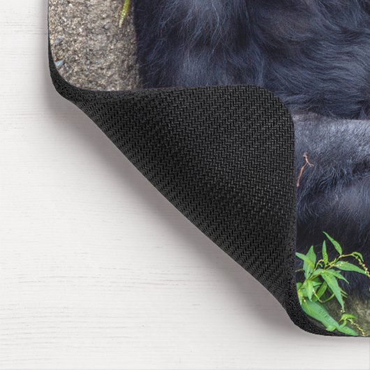 Schimpanse auf Felsen Mousepad (Ecke)