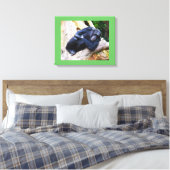 Schimpanse bei Erholung Leinwanddruck (Insitu (Schlafzimmer))