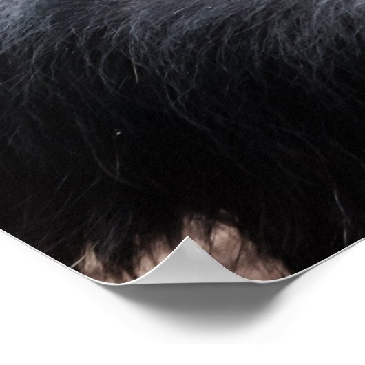 Schimpanse denkt poster (Ecke)