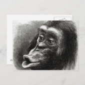 Schimpanse enttäuscht und Sulky Postkarte (Vorne/Hinten)