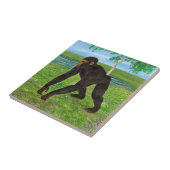 Schimpanse Fliese (Seite)