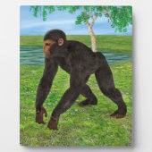 Schimpanse Fotoplatte (Vorderseite)