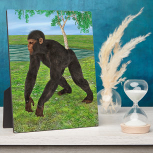 Schimpanse Fotoplatte