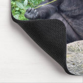 Schimpanse frisst Gras Mousepad (Ecke)