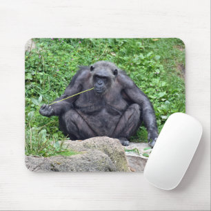 Schimpanse frisst Gras Mousepad