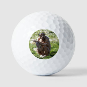 SCHIMPANSE GOLFBALL