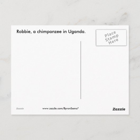 Schimpanse in Uganda Postkarte (Rückseite)