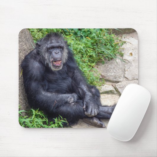 Schimpanse lehnt sich auf Felsen Mousepad (Mit Mouse)