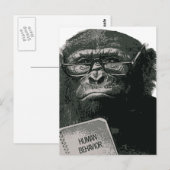 Schimpanse liest postkarte (Vorne/Hinten)