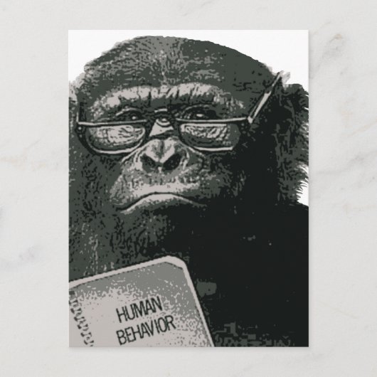 Schimpanse liest postkarte (Vorderseite)