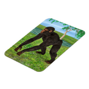 Schimpanse Magnet