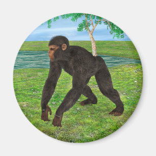 Schimpanse Magnet