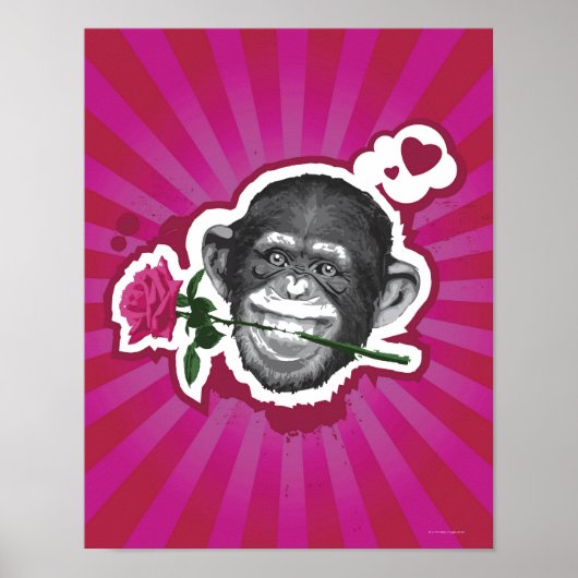 Schimpanse mit einer Rose im Mund Poster (Vorne)