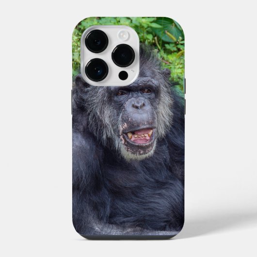 Schimpanse Nah iPhone Hülle (Rückseite)